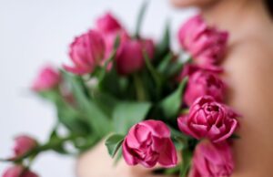 najlepszy kwiat na prezent-Tulipan