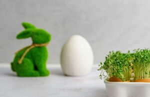 Rzeżucha — jak posadzić i jej historia wielkanocna