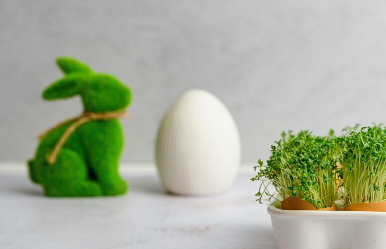 Rzeżucha — jak posadzić i jej historia wielkanocna