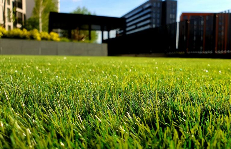 Jak prawidłowo posadzić trawę Poradnik krok po kroku